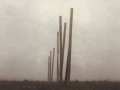 Pfaehle im Nebel