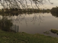 kofenweiher 1