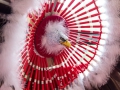 1404-K51_9219_Camera_Homepage