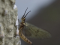 1407-K51_7232_Camera_Homepage