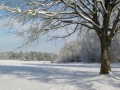 B-01434_Camera_Homepage