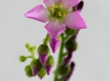 B-06822_Camera_Homepage