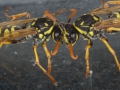 B-08092_Camera_Homepage_Camera_Homepage
