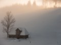 schollach_nebel_3