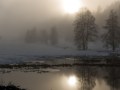 schollach_nebel_4